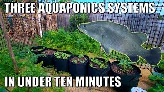 THREE Aquaponics Systems | A Sneak Peek....