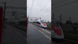 #train #поезд электропоезд эвс1 Сапсан пролетает станцию Решетниково по 1 пути