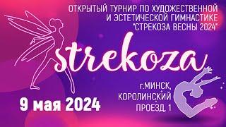 9.05.2024 / Стрекоза Весны 2024 / Художественная гимнастика. Часть 1