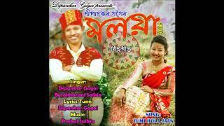 Tumi hola jaan / Dipankar Gogoi / Moloya / Bihu