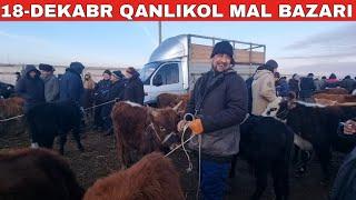 18-ДЕКАБРЬ/КАНЛЫКОЛ МАЛ БАЗАРЫ/СКОТНЫЙ РЫНОК/BUQALAR/BIG BULLS IN THE WORLD/BIG COW