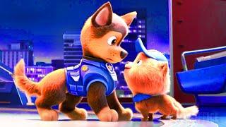 The Cutest Dogs from Paw Patrol 2  4K