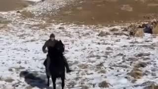 Brave Horse