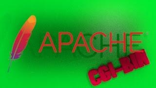 Apache CGI BIN C programing tutorial