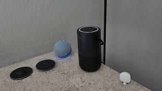 Alexa and Google argument