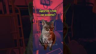 Автобус ограбил контролёра  #мем #котики