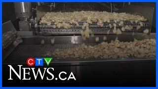 B.C. potato chip company hoping for local support