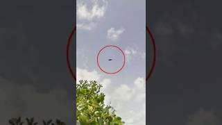 UFO Sightings: Aliens Finally Revealed in Shocking Video (2024)