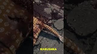 Dead island 2 Толстая бабушка #shorts