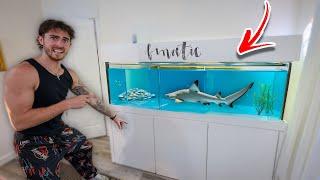 I am BUYING this for the New House?!
