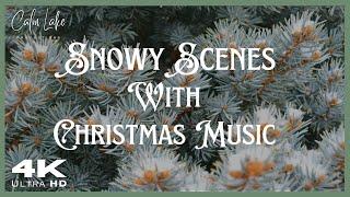 ️ Relaxing Snowy Landscapes with Christmas Music ️