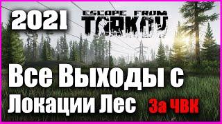 Лес Все Выходы за ЧВК 2022 Гайд Escape from Tarkov 0.12.10