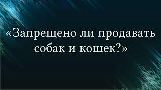 «Запрещено ли продавать собак и кошек?» — Абу Ислам аш-Шаркаси