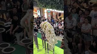Singapore Shui Lian Gong Dragon & Lion Dance Troupe 首届利达广场新马南狮高桩锦标赛
