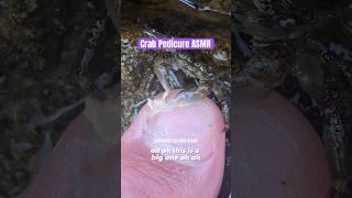 Crab Pedicure ASMR Sounds!!! #shorts