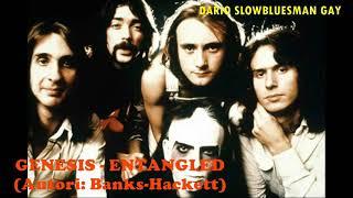 Dario Slowbluesman Gay - Entangled