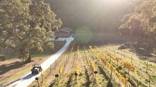 Carmel Valley Vineyard Property For Sale  |  Tim Allen Properties  |  Real Estate  |  California