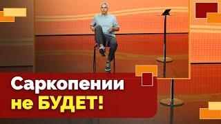 Мышечная масса во взрослом возрасте | Движение - жизнь!