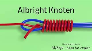 Albright Angelknoten