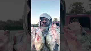 #crappie #viralvideo #viralshorts #outdoors #hunting #youtube #trackandfield #world #fishing