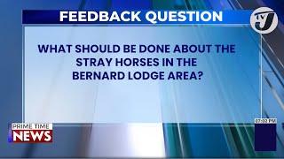 Feedback Question #tvjnews #tvjprimetimenews