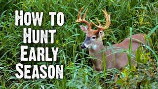 Early Season Hunting Strategies - Understand Buck Behavior (833)