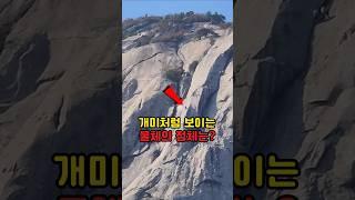 북한산에서 발견한 의문의 물체의 정체는?