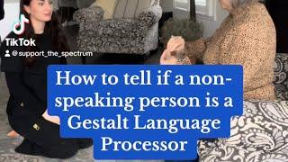 Non-Speaking Gestalt Language Processor