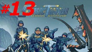 #13 ► СТАЛЬНЫЕ СТРАЖИ ► STARSHIP TROOPERS: TERRAN  COMMAND (Максимальная сложность)