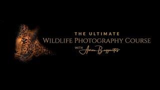 The Ultimate Wildlife Photography Course