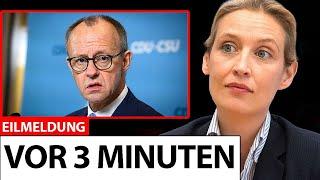 Merz unter Schock! WEIDEL ENTHÜLLT UNGLAUBLICHES!