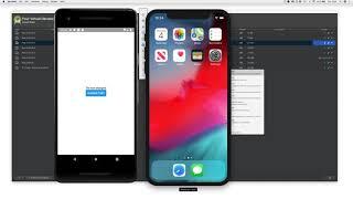11  Running the App on an iOS Simulator