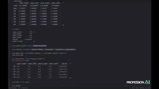 Guida a Pandas: analisi e manipolazione di dati con Python