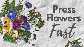 How to Press Flowers Fast: Quick Preservation | Easy DIY Tutorial