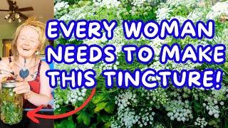  Every Woman Needs Queen Anne's Lace!  Easy Tincture  Digestive  Kidneys  Pregnancy + More!