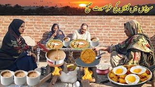 my morning routines in the village | Pakistan village life | winter routine |  | Beautiful village