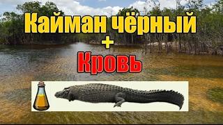 РР3|Кайман чёрный+Кровь|Амазония