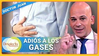 Razones más comunes del exceso de gases | Despierta América