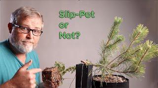 Bonsaify | Slip Pot or Not? Common Viewer Question Answered