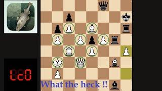 Lc0 vs Stockfish Best Match |  Collection 310