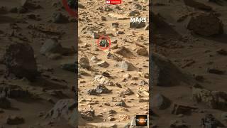Mars view Perseverance