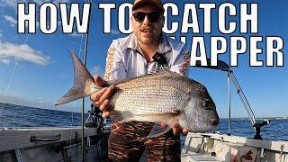 HOW TO: CATCH SNAPPER - Fishing the shallow reefs off Sydney - Reel Fishing Episode 114