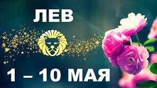  ЛЕВ.  С 1 по 10 МАЯ.  Таро прогноз.