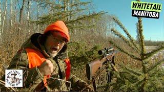 Backcountry Whitetail Hunt in Manitoba