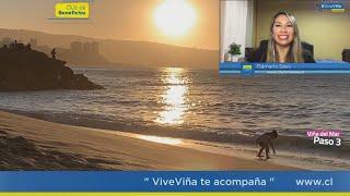 ViveViña te acompaña Programa 12 Información, datos y entretención Viña del Mar Chile