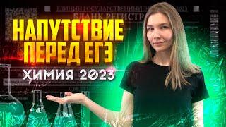 НАПУТСТВИЕ ПЕРЕД ЕГЭ | ХИМИЯ ЕГЭ 2023 | ТОПСКУЛ