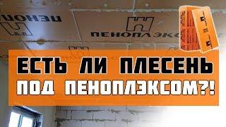 Пеноплэкс спустя 3 года - появится ли плесень? Утепляем потолок изнутри!