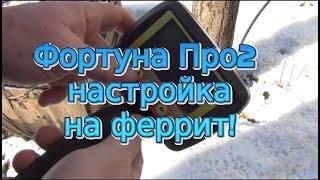 Фортуна Про2 настройка на феррит!