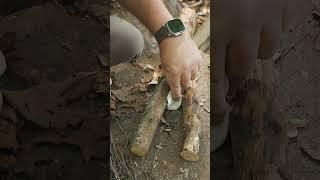 MUST KNOW Fire Starting Tip  #survival #bushcraft #camping