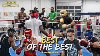 4K SPARRING Of The BEST Boxers In The USA Between 139-203 LBS!